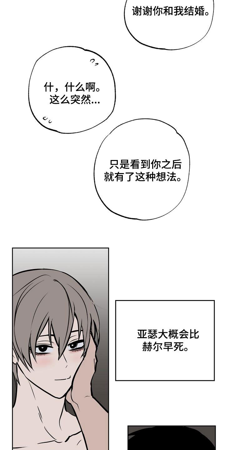 第116章：【番外完结】伴侣17