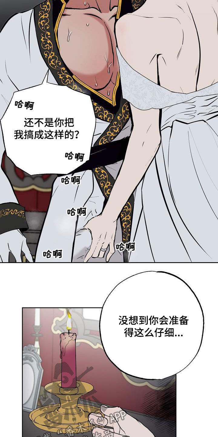 第116章：【番外完结】伴侣3