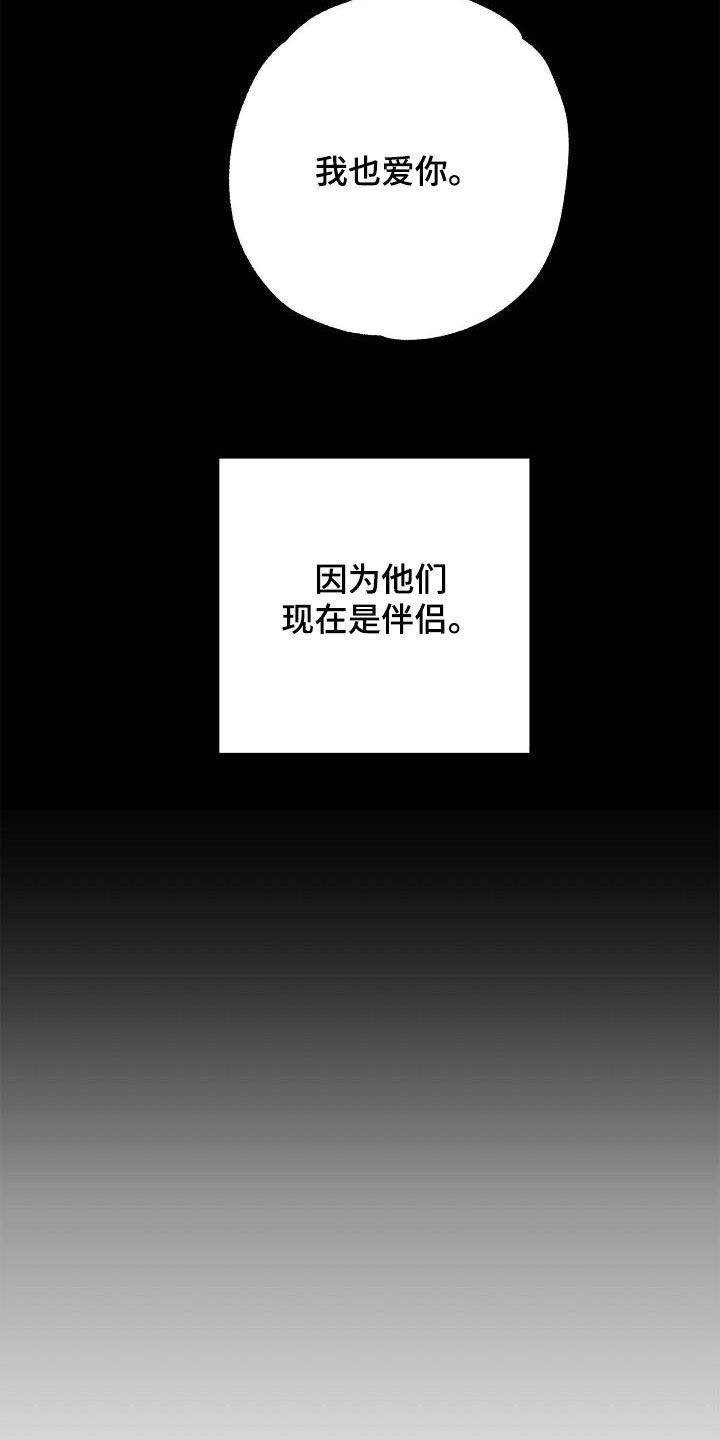 第116章：【番外完结】伴侣20
