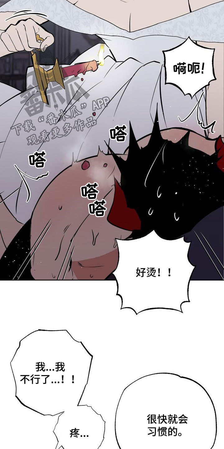 第116章：【番外完结】伴侣8