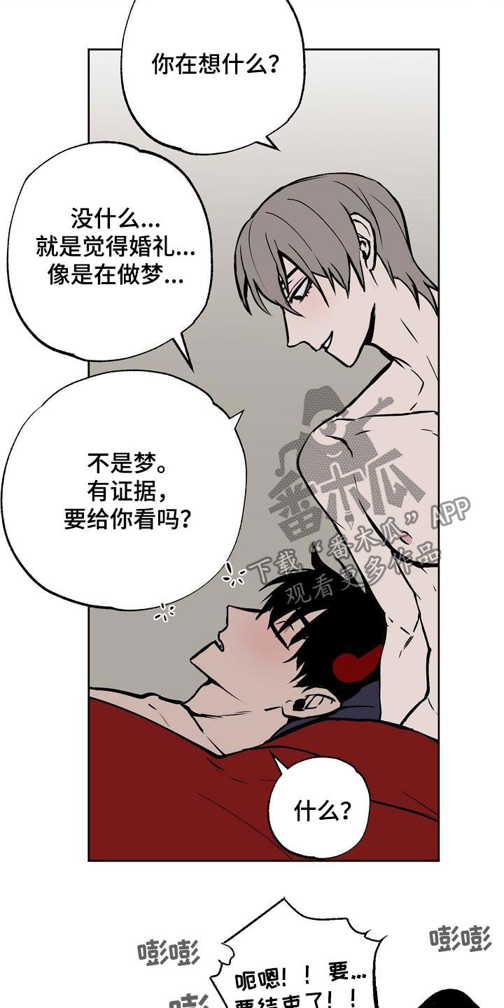 第116章：【番外完结】伴侣13