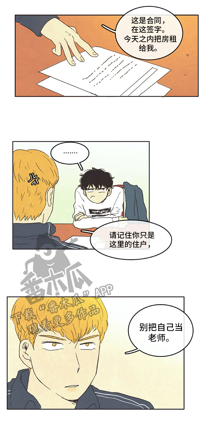 第13章：打算3