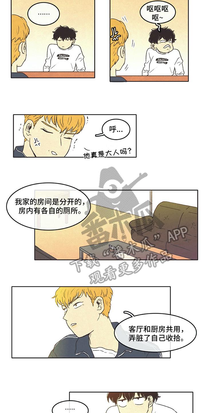第13章：打算5