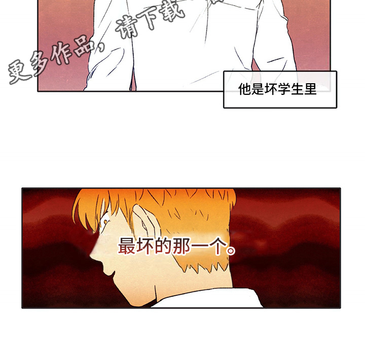 第31章：暗中观察14