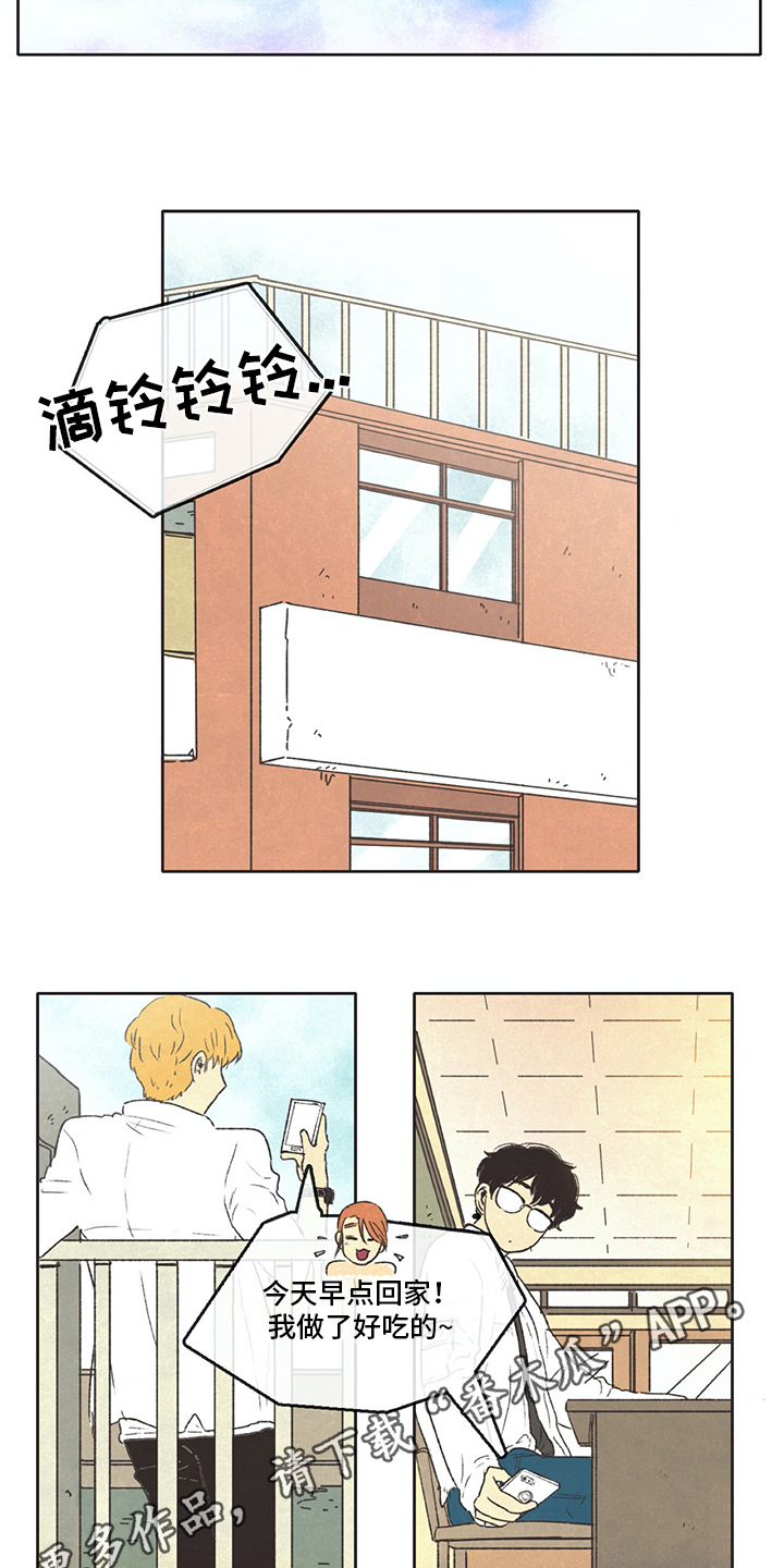 第24章：查询10