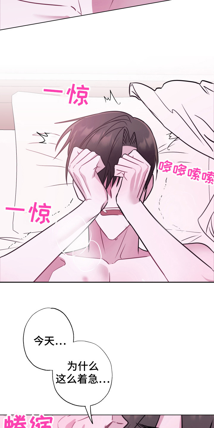 第19章：电话 5