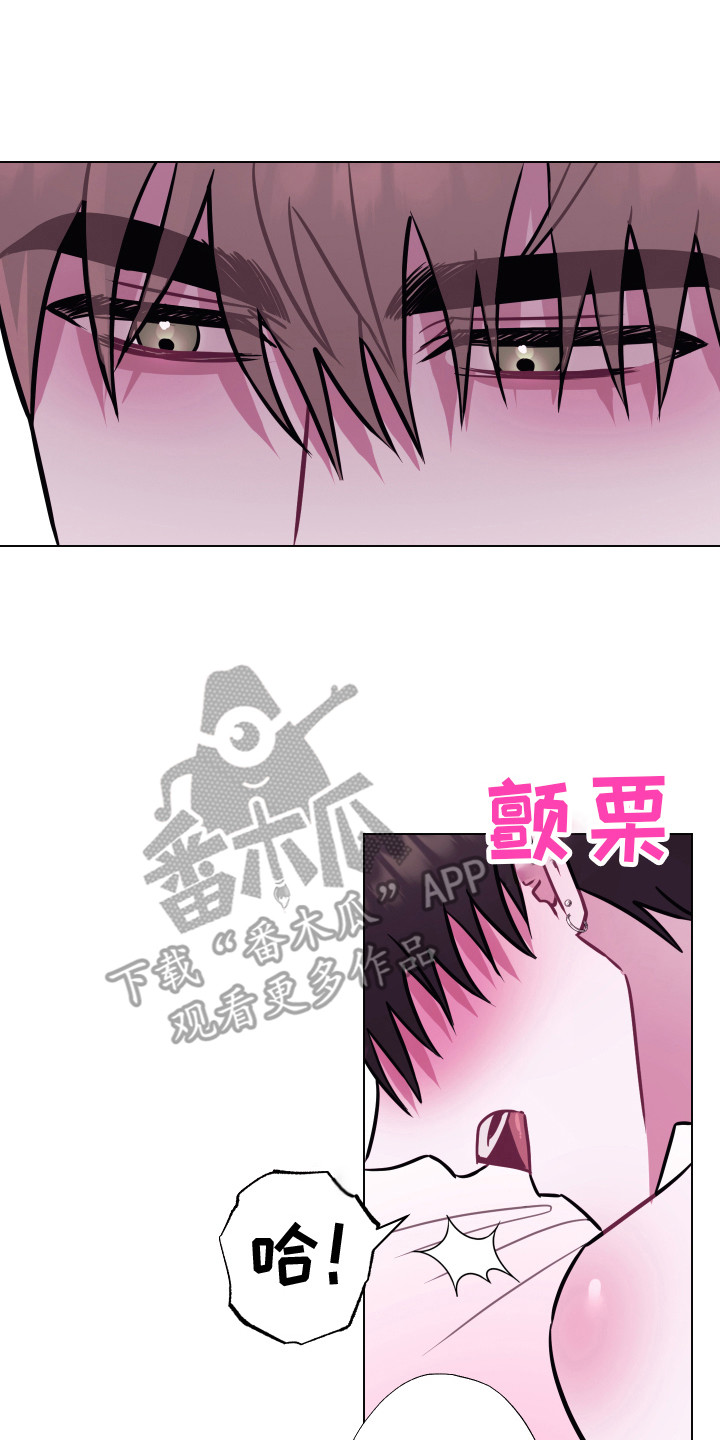 第26章：选择你 13