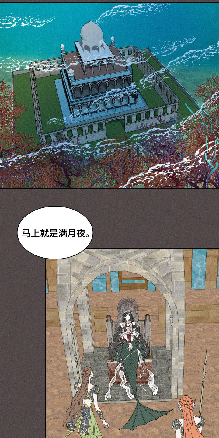 第35章：魔女16