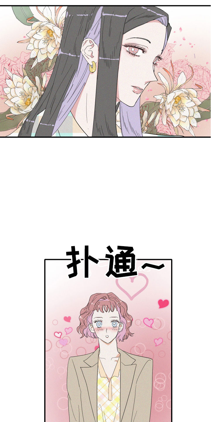 第2章：理想型18
