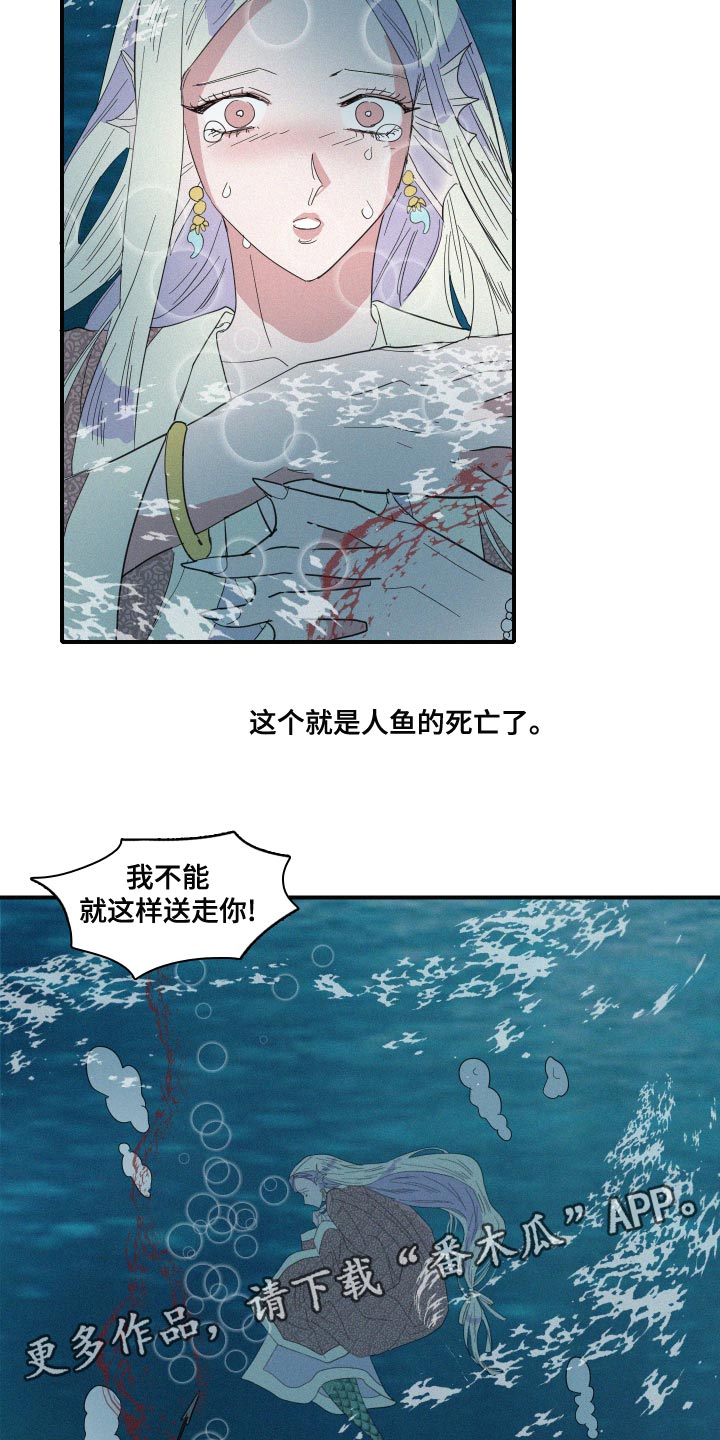 第47章：泡沫14