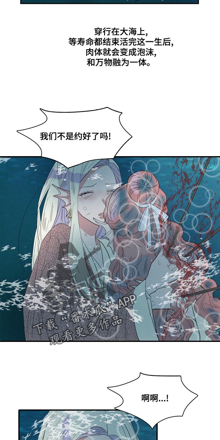 第47章：泡沫13