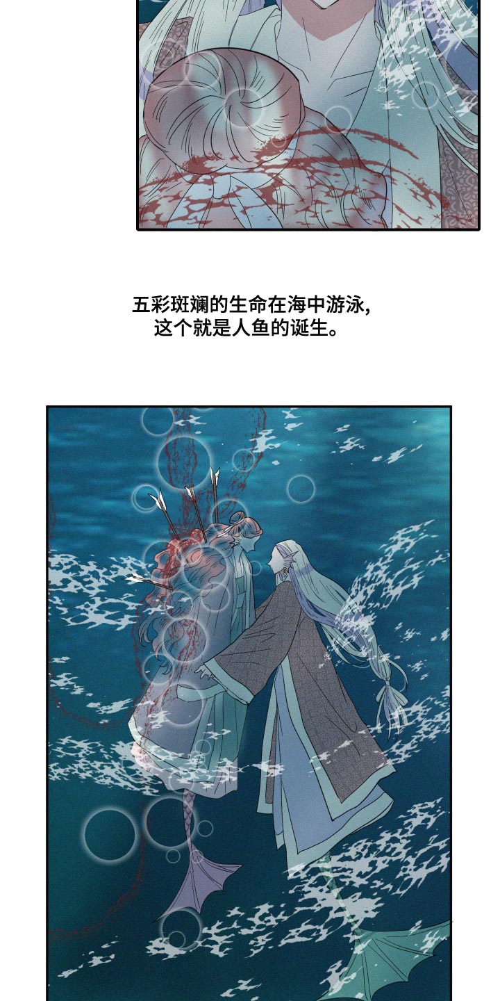 第47章：泡沫12