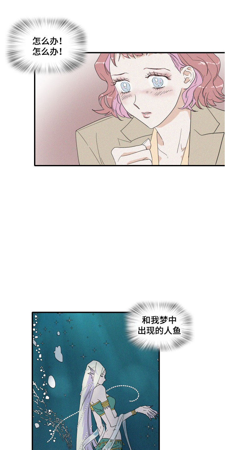 第2章：理想型16