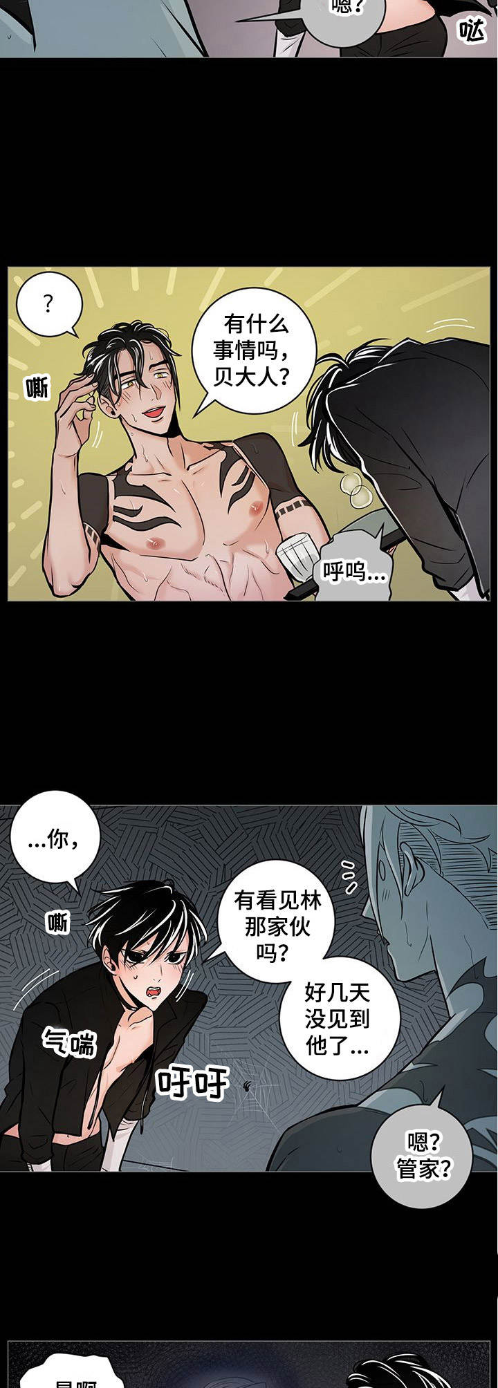 第29章：寻找5