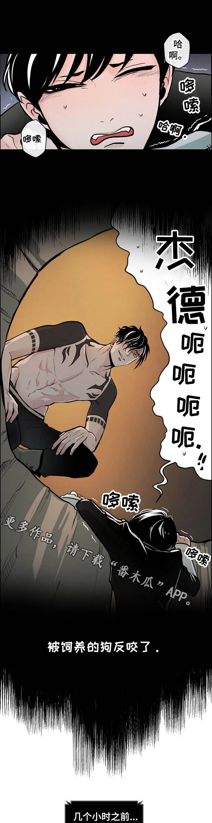 第5章：独自行动5