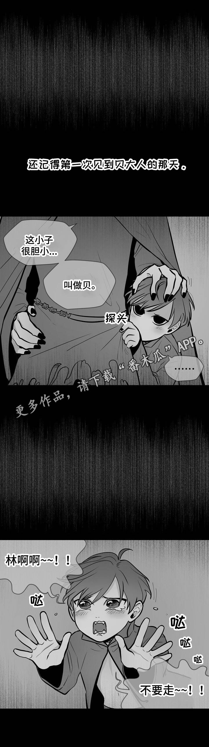 第14章：无力8