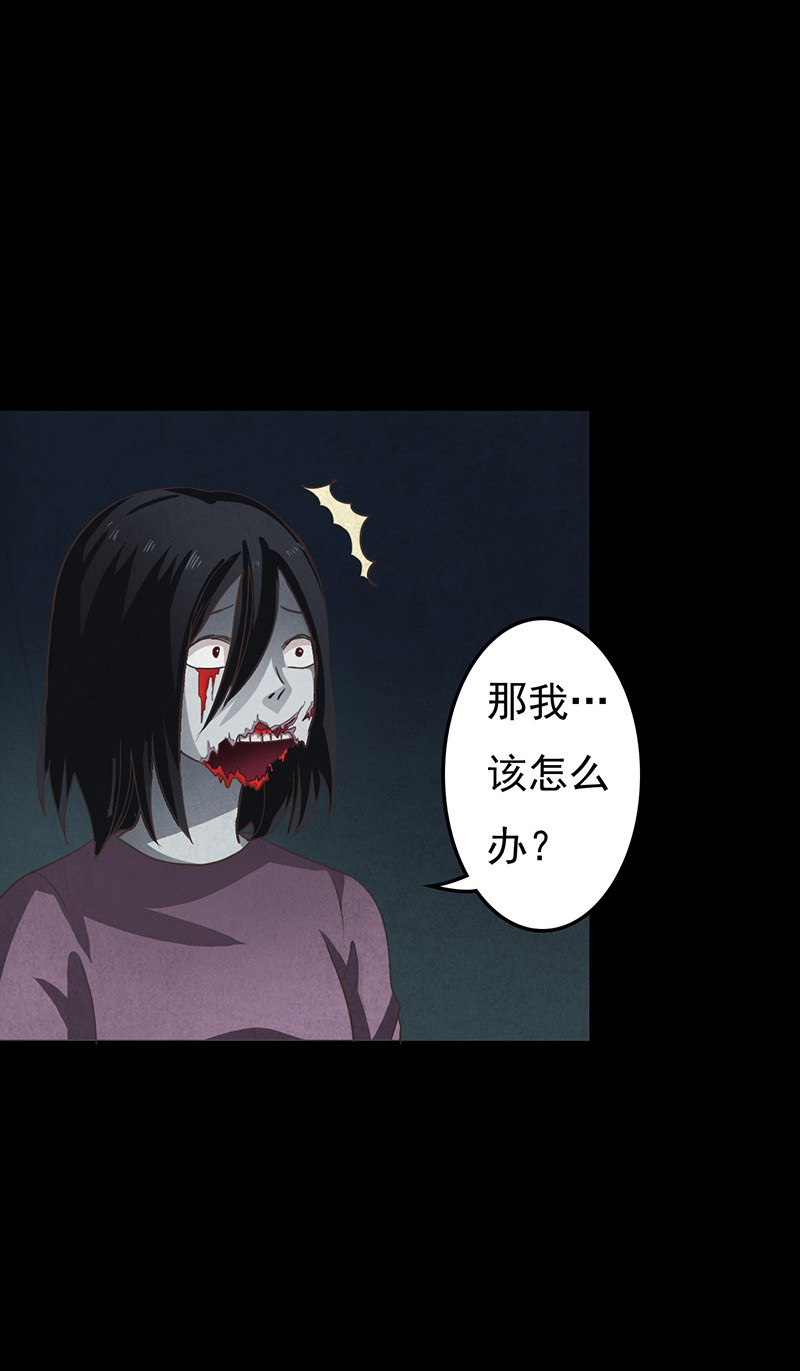 第11章：复仇14