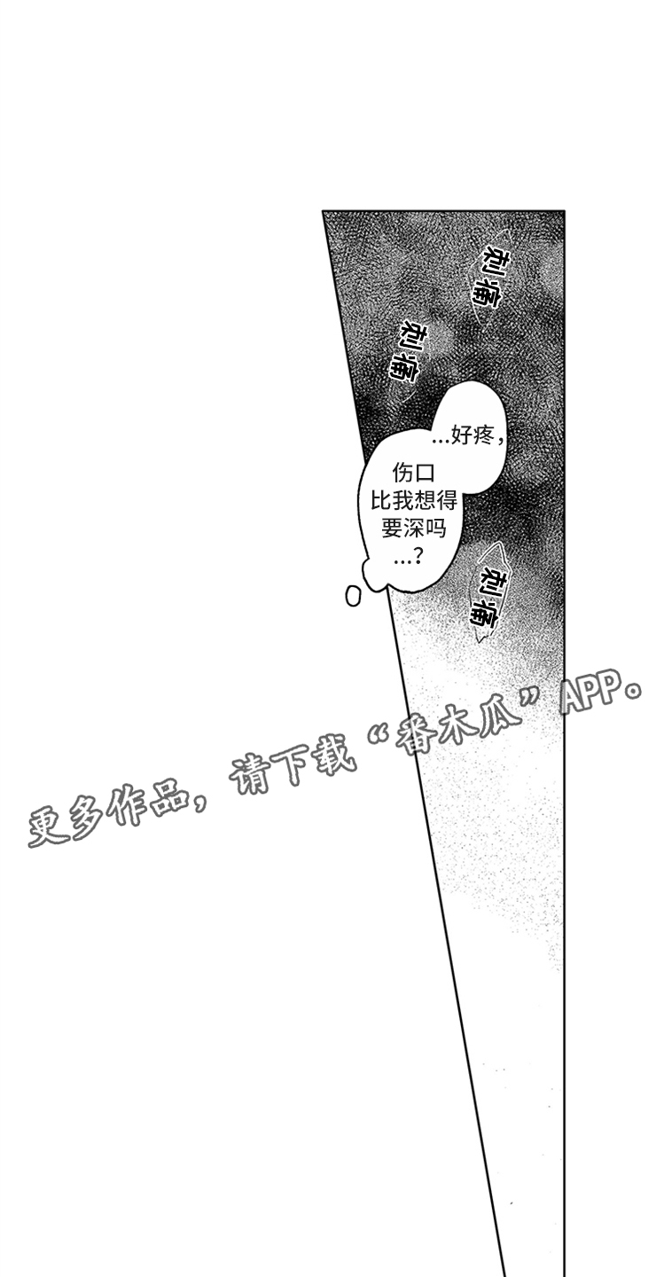 第9章：隐痛的伤口17