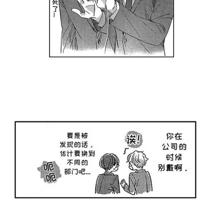 第29章：新的戒指14