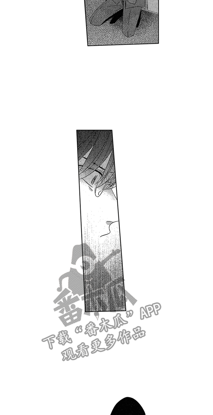 第25章：真实的想法7