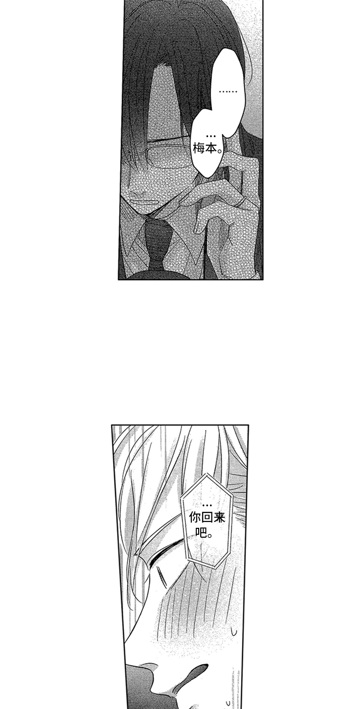 第25章：真实的想法16