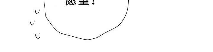 第1章：织女星17