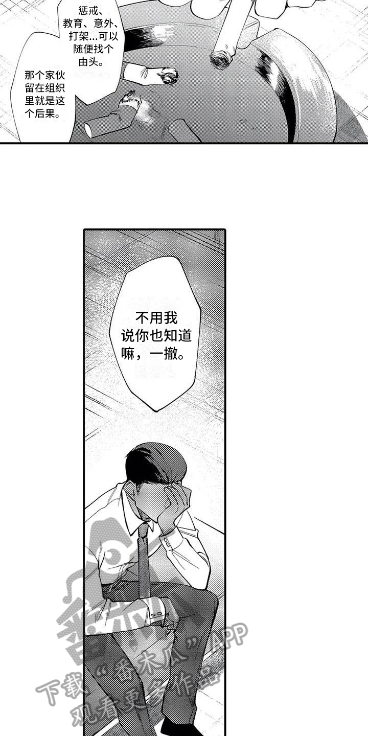 第17章：原因10