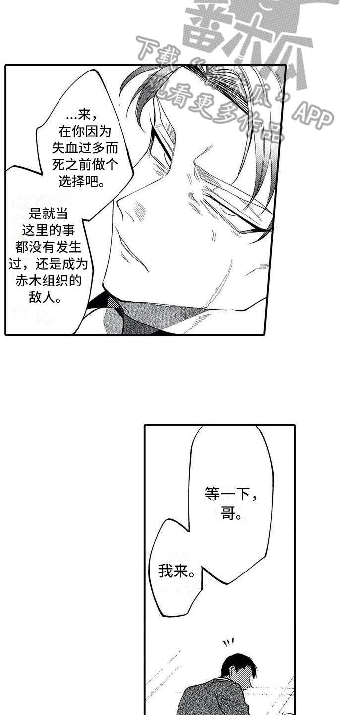 第23章：胜利8