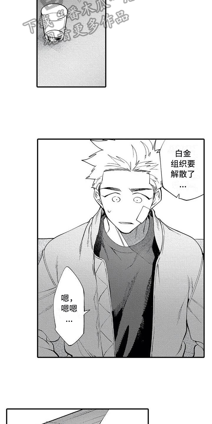 第19章：尊敬9