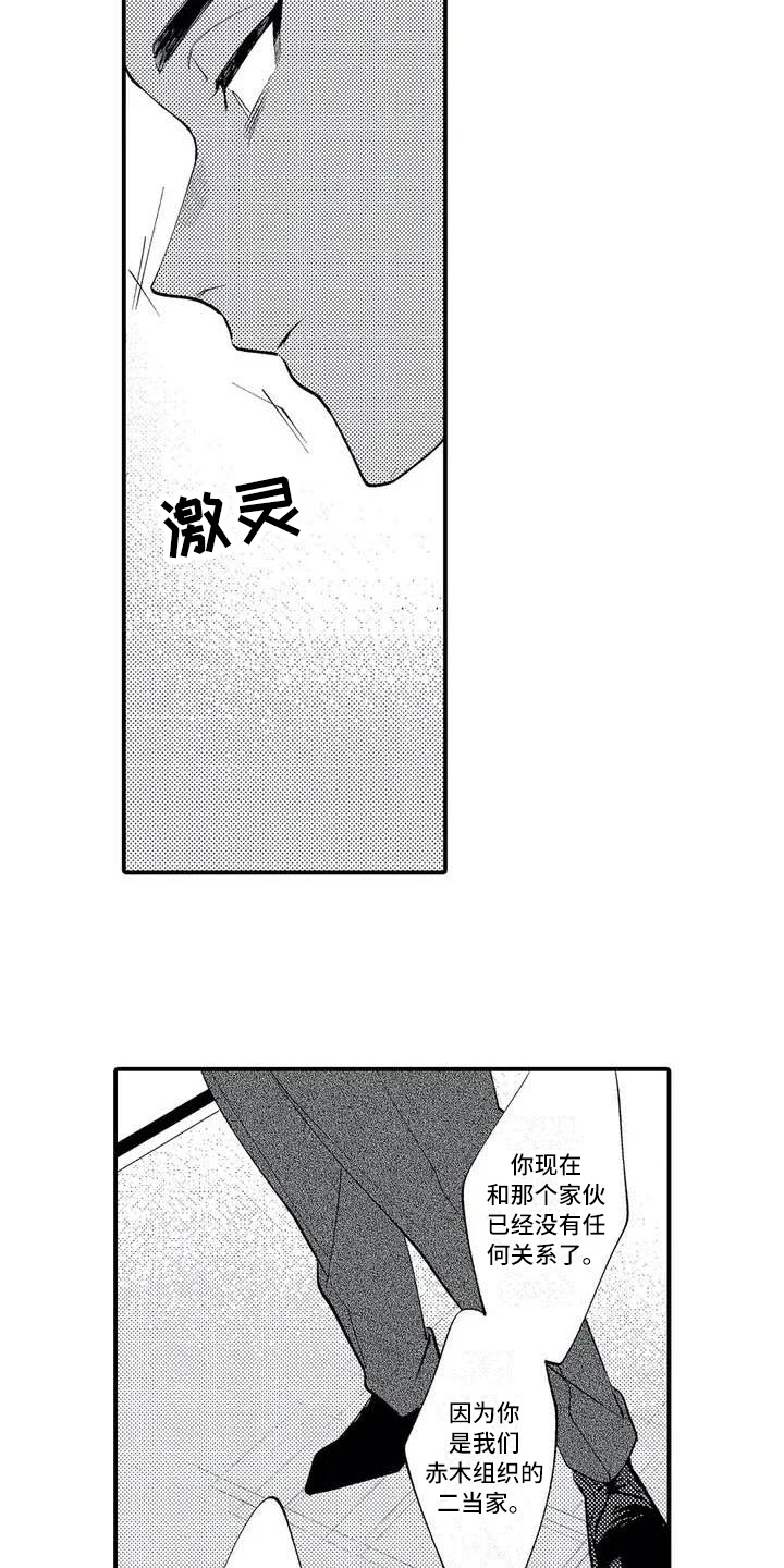 第1章：二当家10