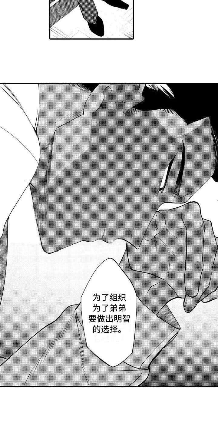 第17章：原因11