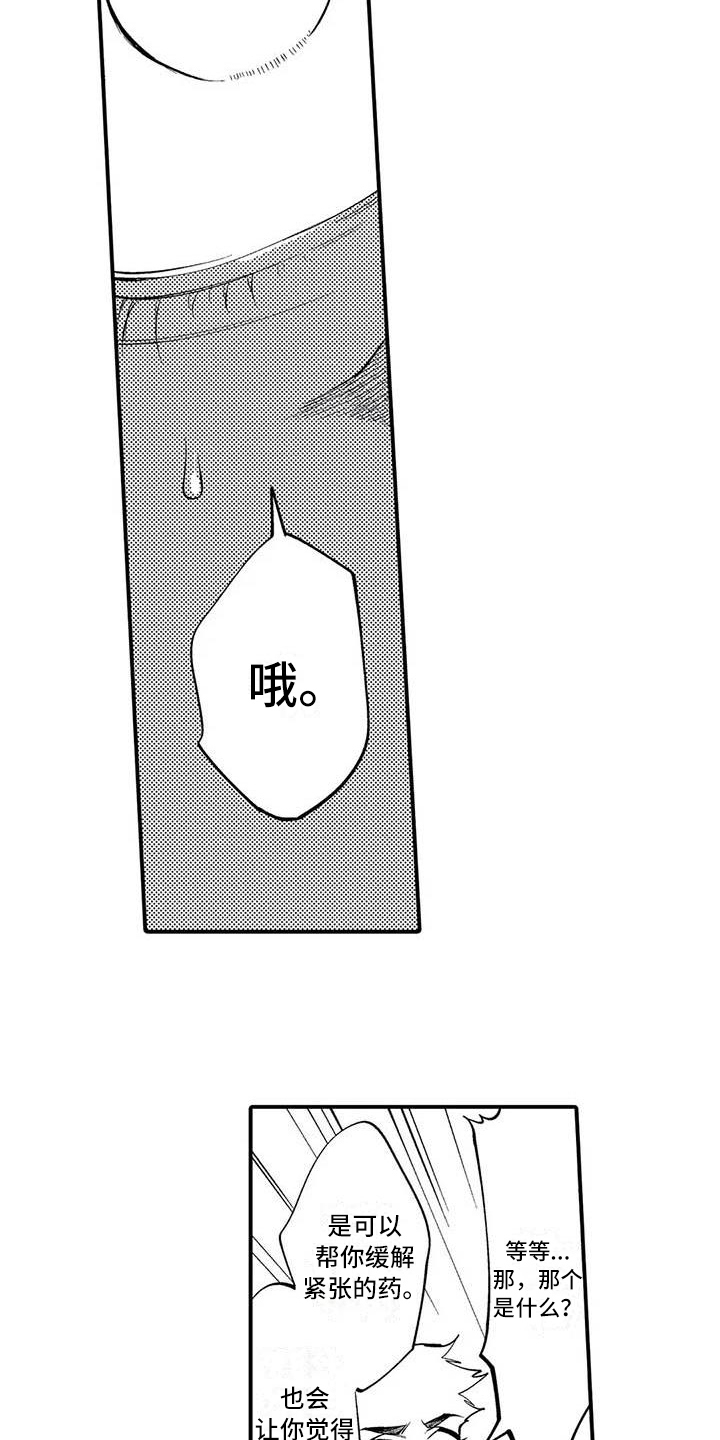 第13章：态度6