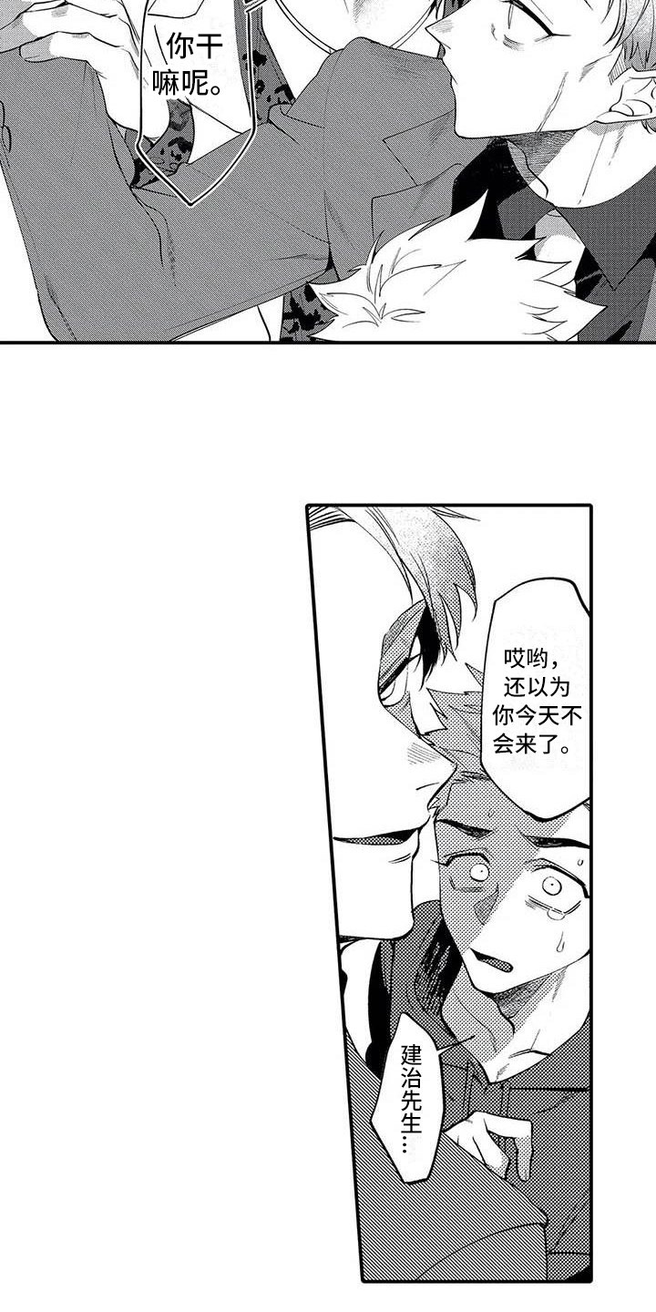 第13章：态度12