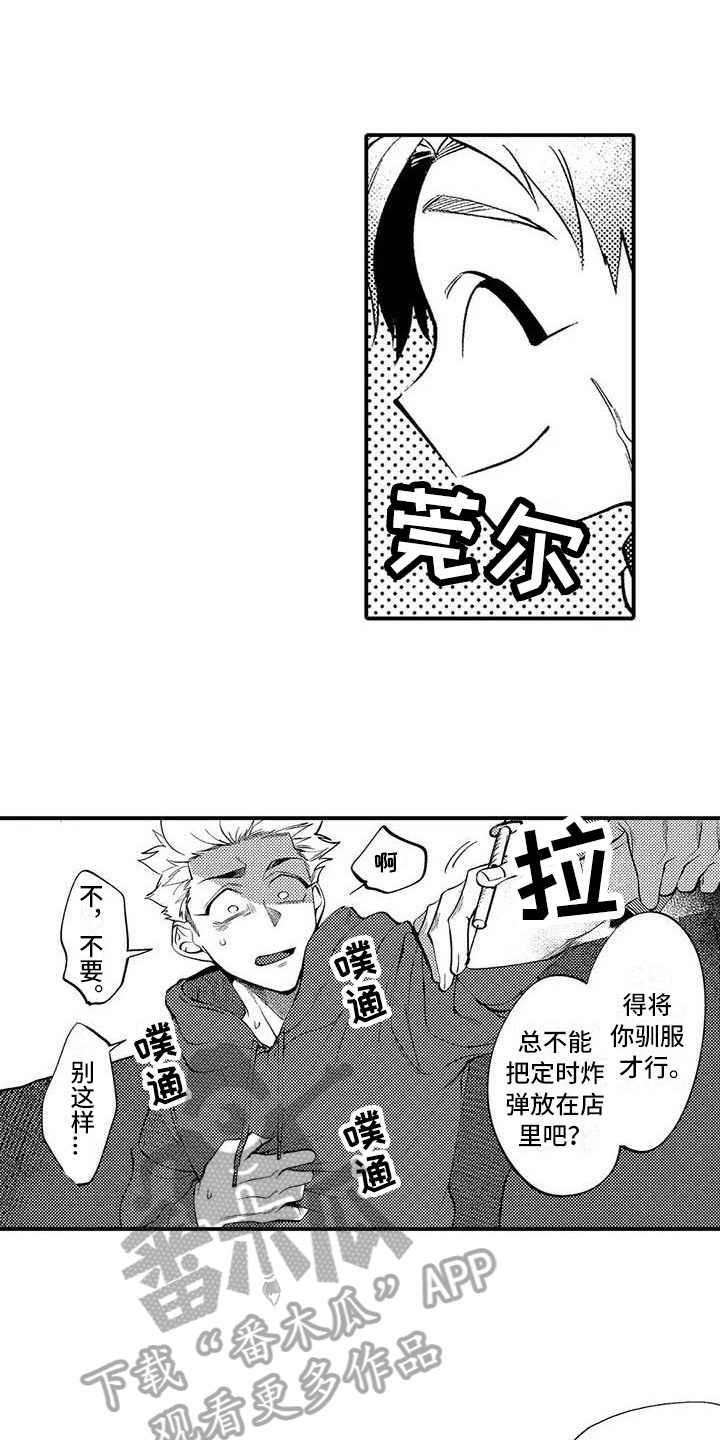 第13章：态度10
