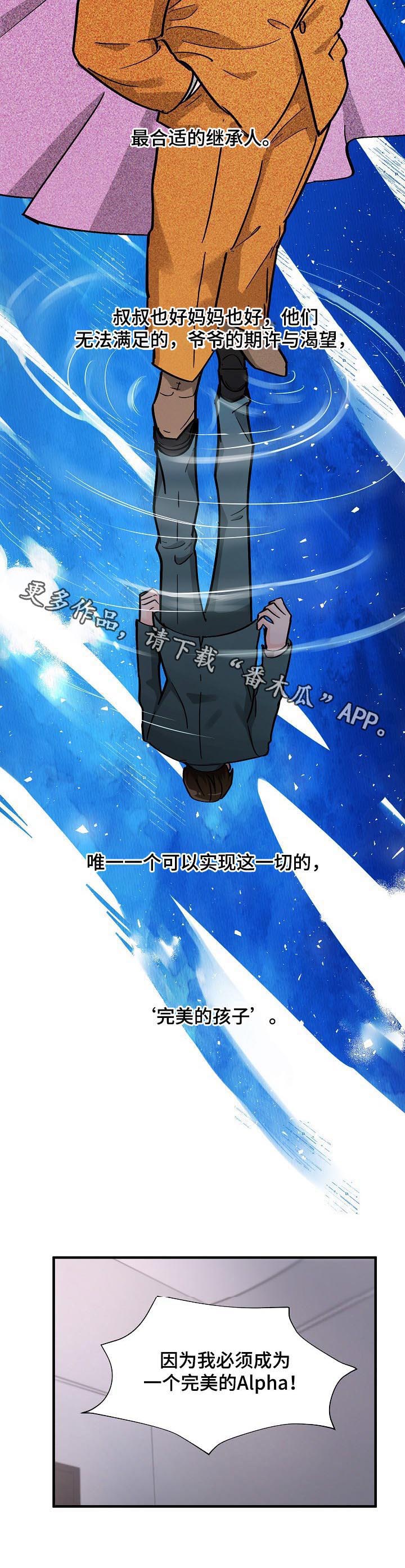 第85章：追求完美10