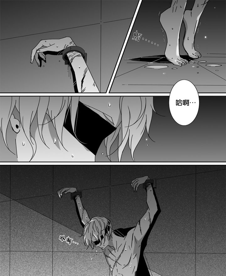 第50章：4