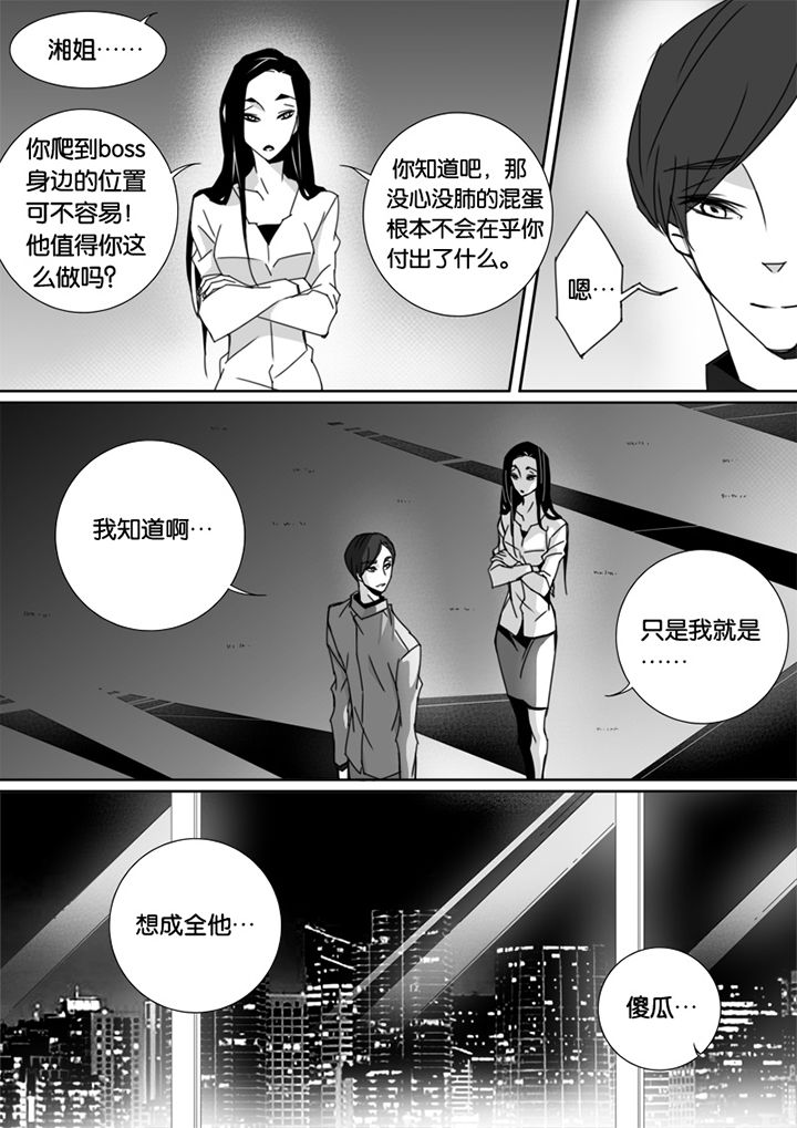 第55章：5