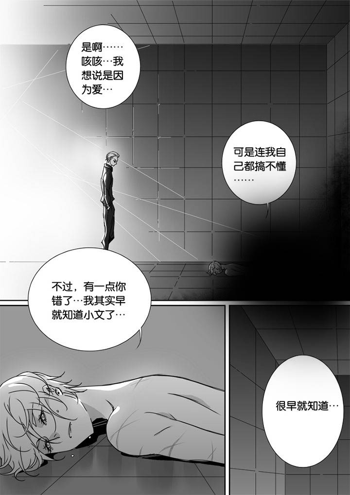 第52章：3