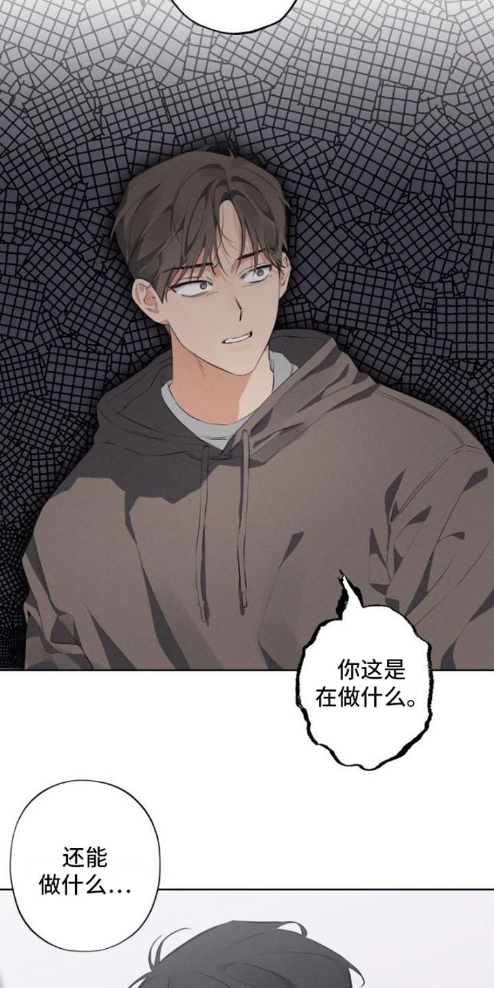 第3章：再次悲惨13