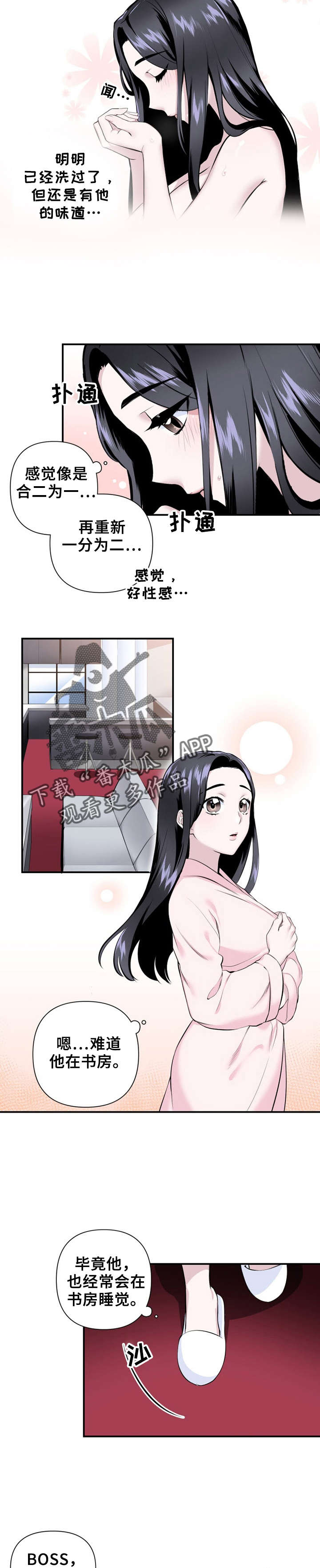 第18章：合二为一7