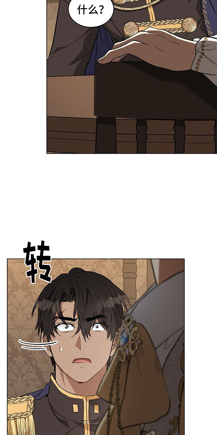 第19章：不是花招31