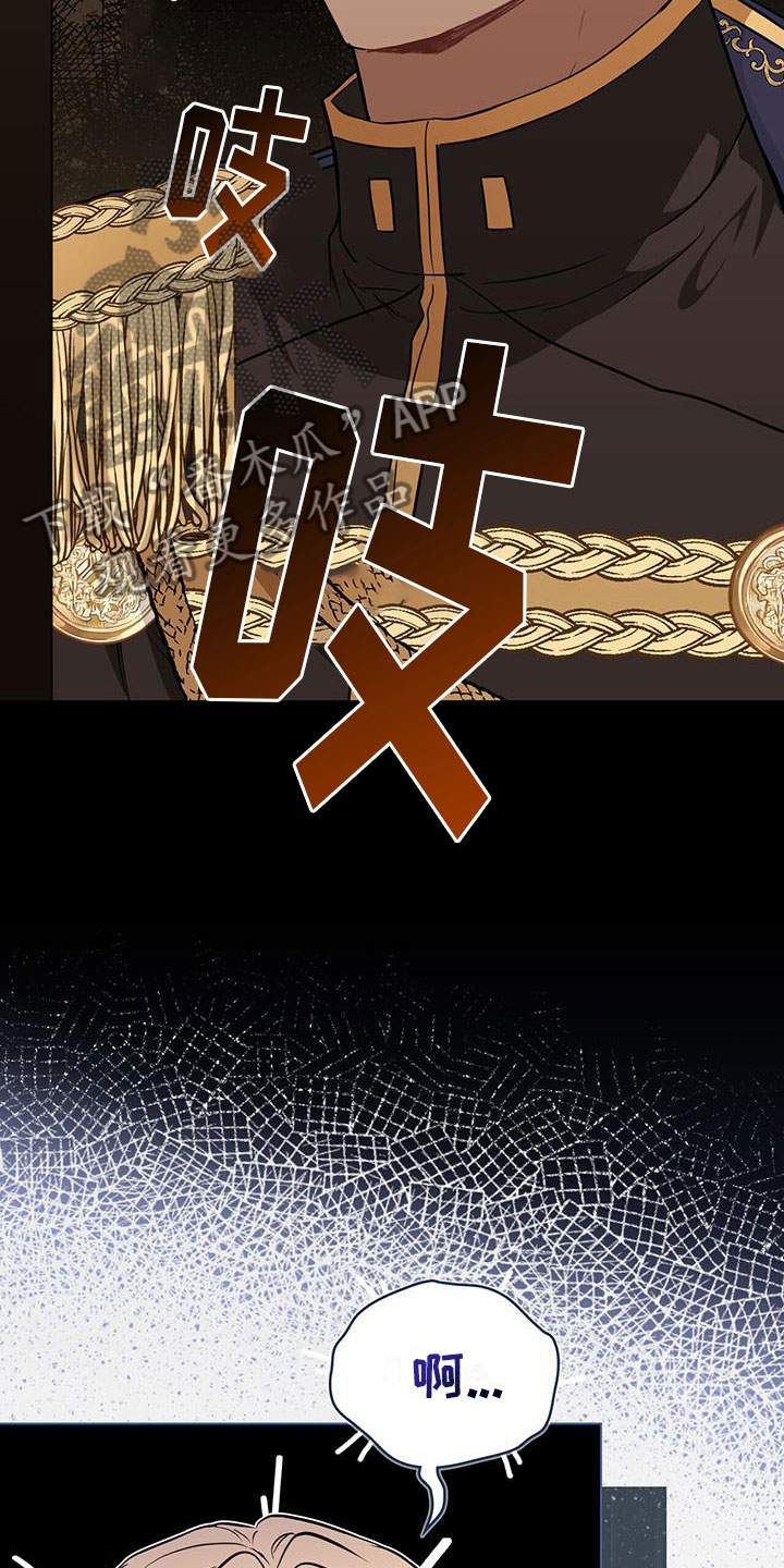 第19章：不是花招13