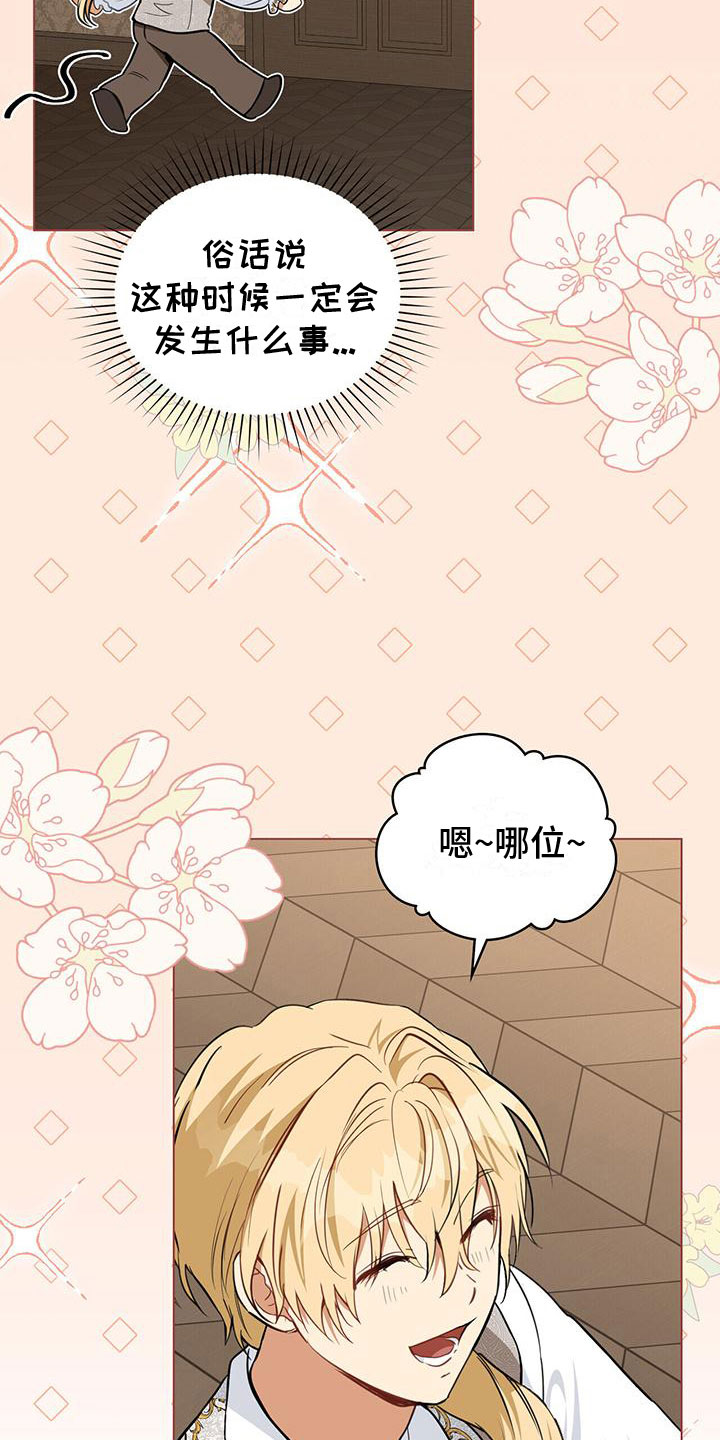 第19章：不是花招11
