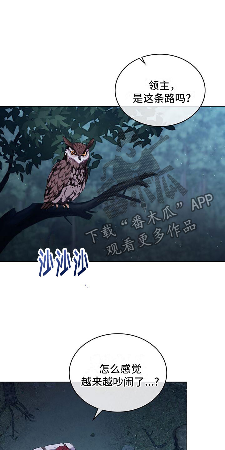 第6章：亲自去找16
