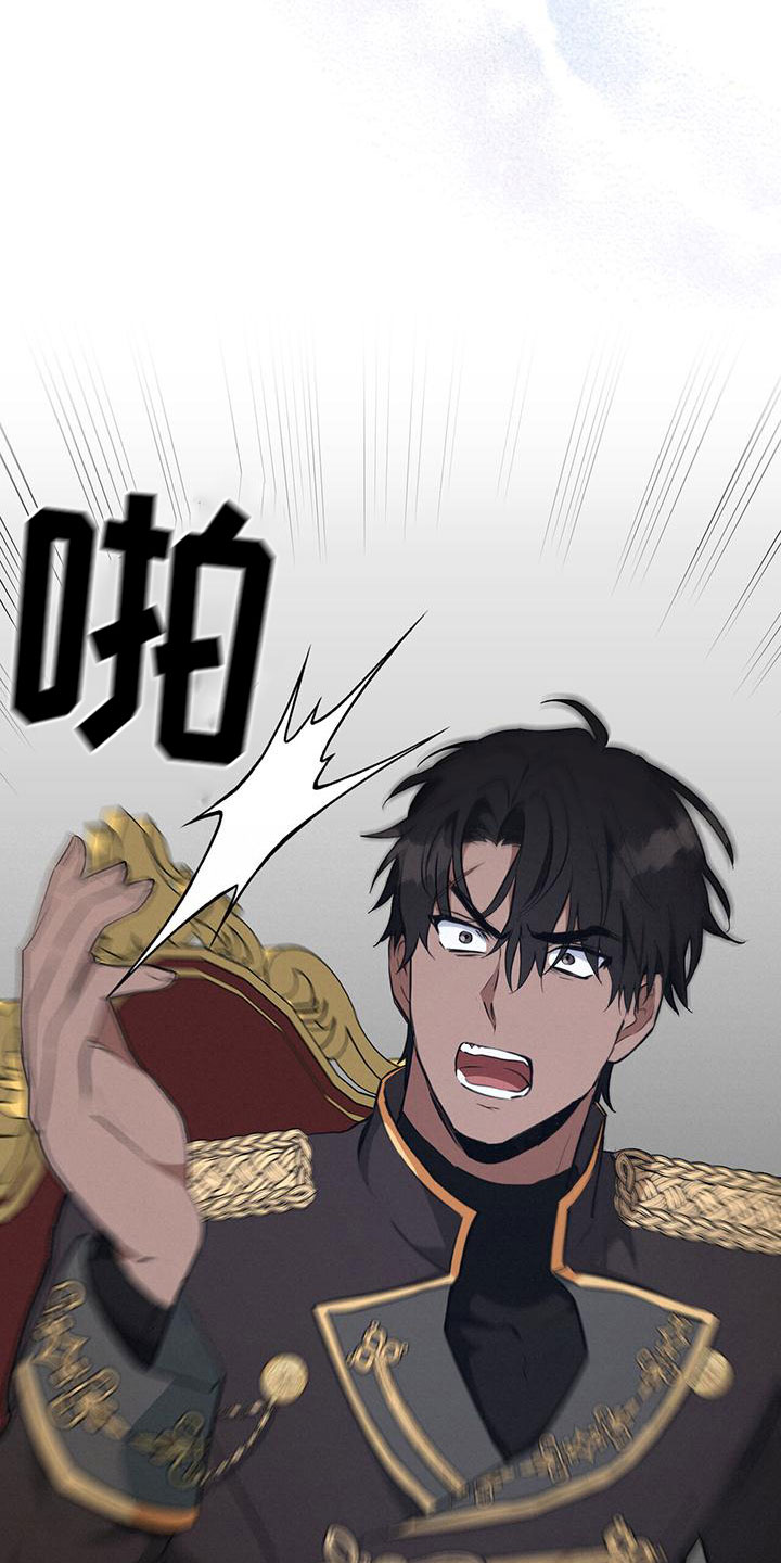 第17章：绝佳建议23