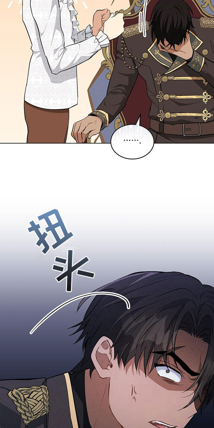 第17章：绝佳建议30