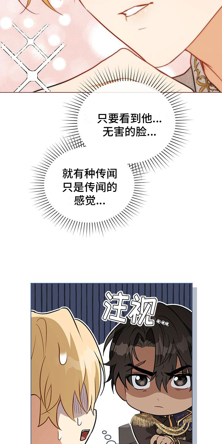 第19章：不是花招23
