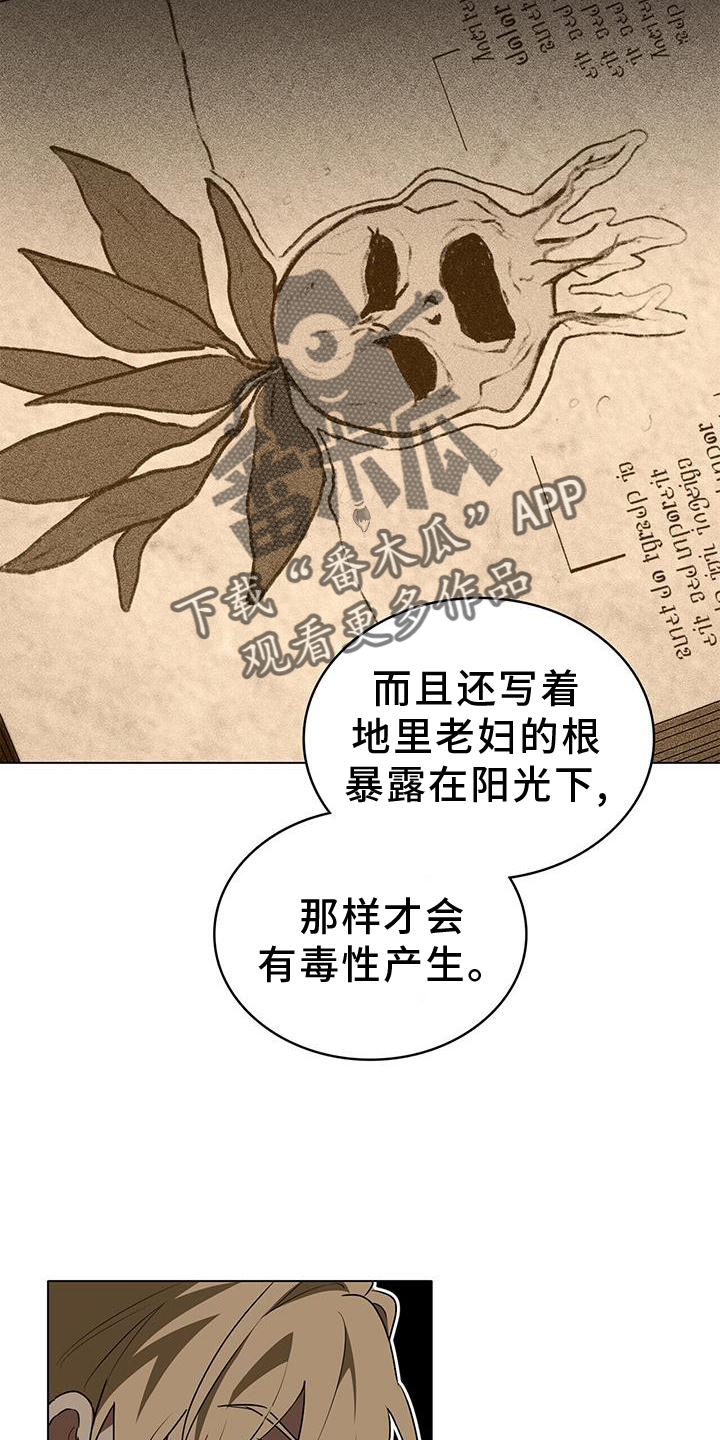 第31章：微笑15