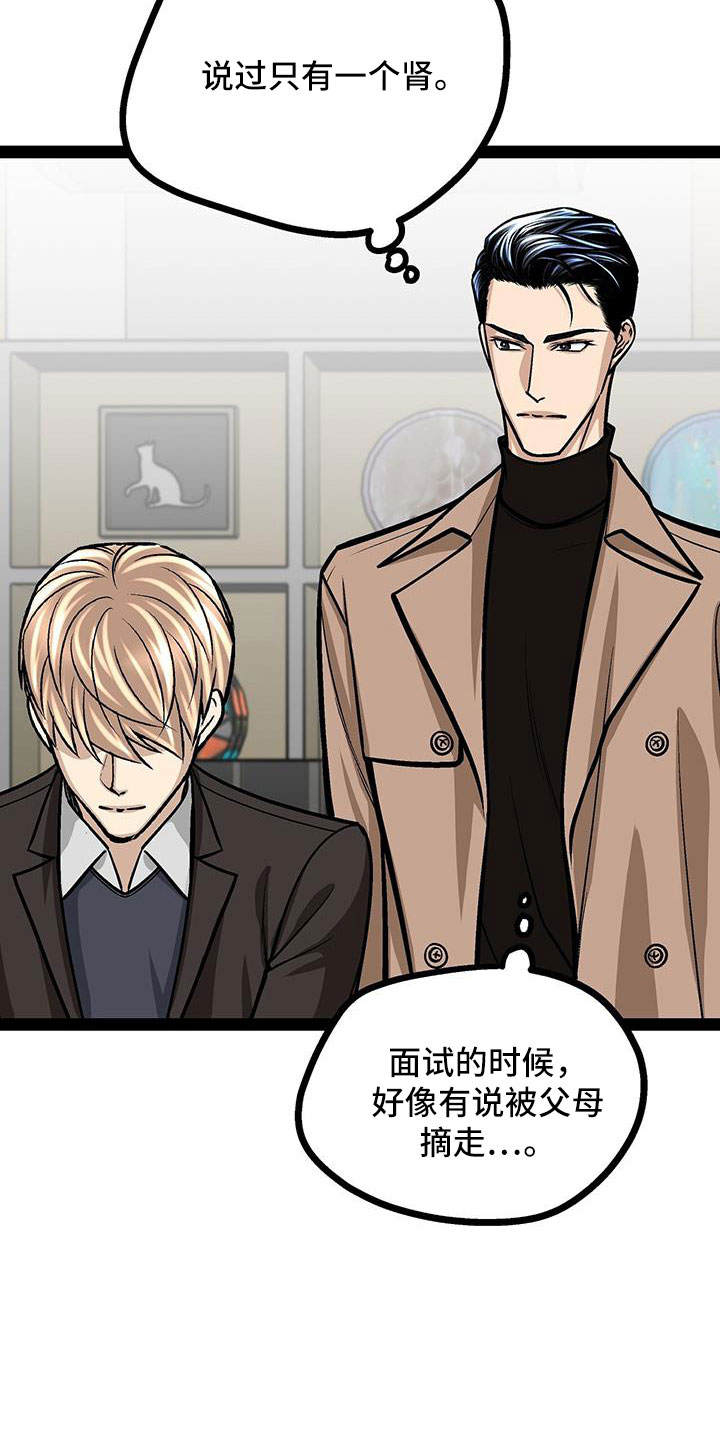 第65章：展览13