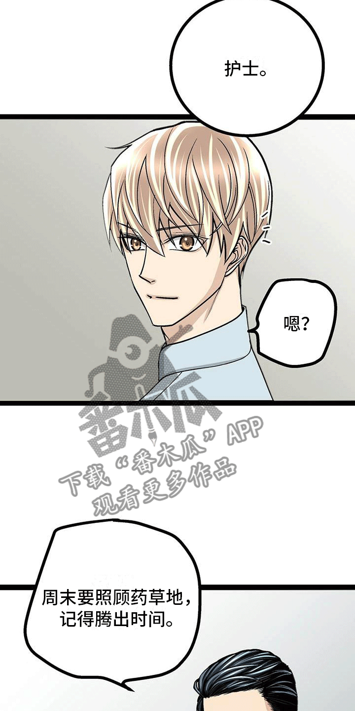 第15章：剪头发21